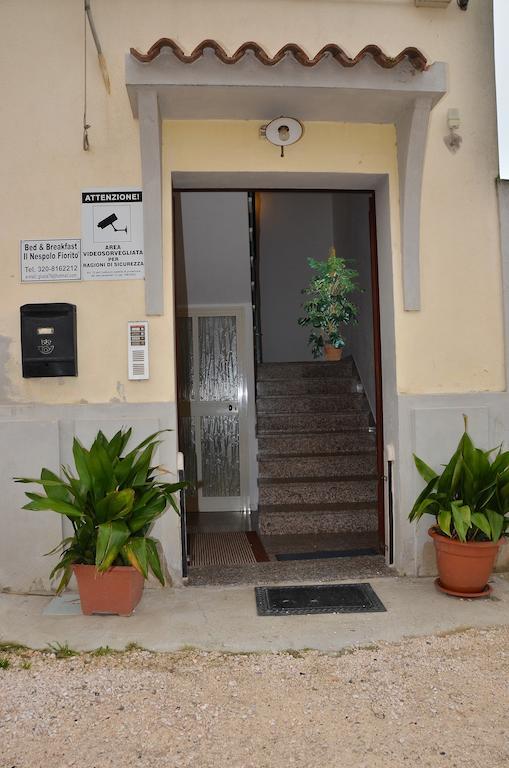 Domo - Guest-House Il Nespolo Fiorito Bed and Breakfast Orosei Εξωτερικό φωτογραφία